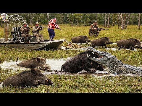 Chases Wild Boar Into Dangerous Swamp Unexpected Situation