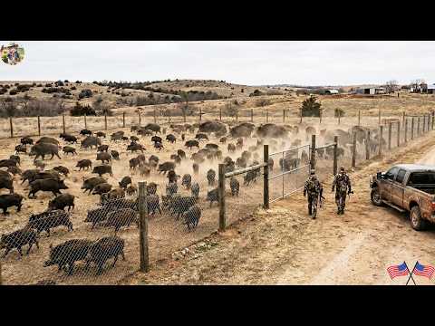 Tracking Down Suspicious Trails Oklahoma Farmers Capture