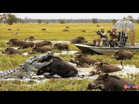 Wild Boar Stampede in Swamp Hunter Surrounded by Giant Boar