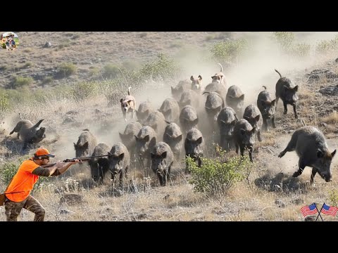 GIANT BOAR INVASION 40 Amazing Hunts in 45 Minutes Leo Farm