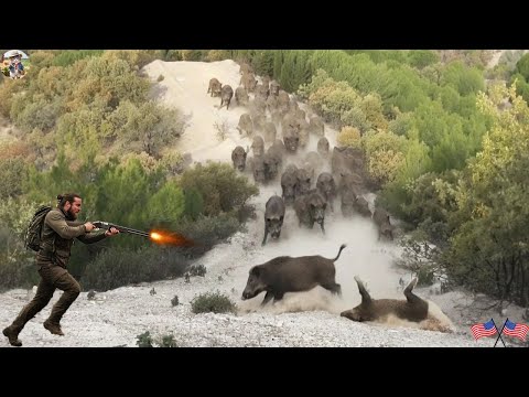 AMAZING Slow Motion Hunting Scenes Wild Boar Hunting Best