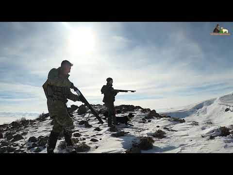 2022 tavşan keklik avları Partridge hunt Partridge and
