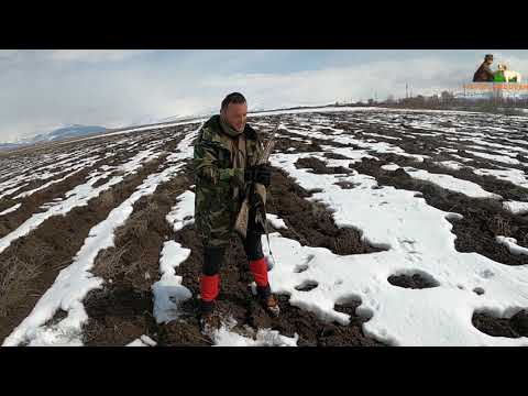 2021 Parlama Ördek Avı 2 DUCK HUNTING CHASSE AU CANARD