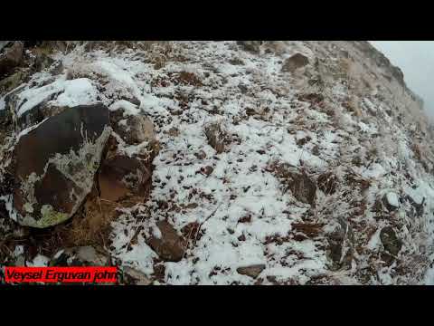 keklik avlarım 2 Partridge and rabbit hunts