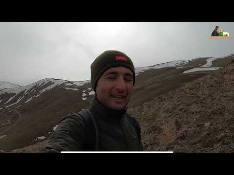 2021 tavşan keklik avları Partridge hunt Partridge and