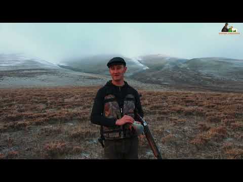 2023 Av Köpeği ile Tavşan Keklik Avları Partridge hunt