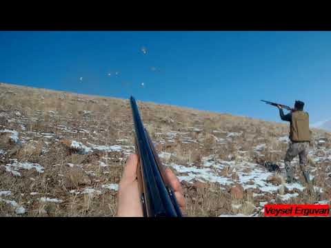fermada keklik avı 2020 Chasse à la perdrix et au lapin