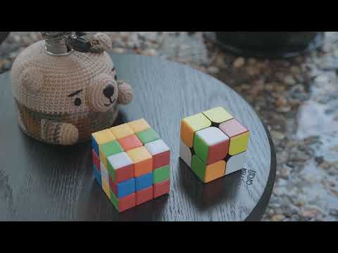 캠핑 브이로그 사랑스런 강아지와 텐트 안에서 듣는 빗소리 폭우 우중캠핑 ASMR