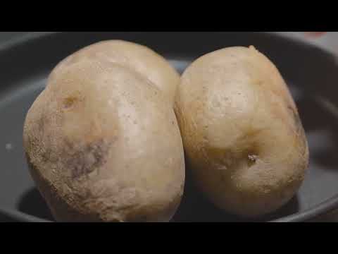 캠핑 브이로그 강아지와 아늑한 텐트 안에서 따뜻한 겨울나기 준비 동계 난로 사용법 장작타는소리 ASMR