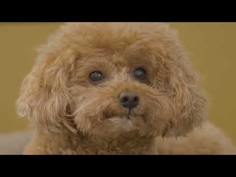 캠핑 브이로그 거대한 비구름 나를 향해 쏟아지는 물폭탄 폭우 우중캠핑 ASMR