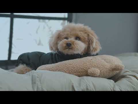 Camping in Heavy Snow with My Dog Transparent Sauna Tent