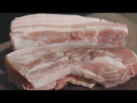 Solo Camping in Forest with My Dog Camp Fire Pork Velly BBQ