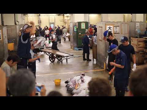 Tuna Auction Tsukiji Fish Market Tokyo Japan