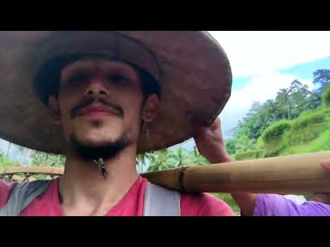 Bali Yol Günlükleri 4K