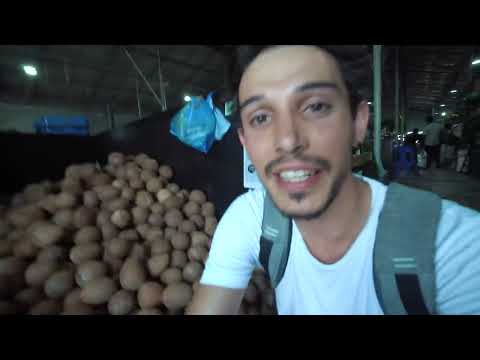 GERÇEK Maldivler Böyle Bir Yer Sokak Yemekleri Market