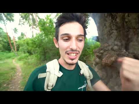 Issız Adada Uyandığım Evim FİJİ
