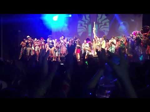 Rio Karnavalında Müzik Her Yerde Brezilya