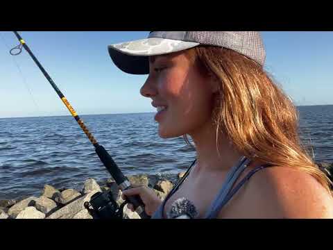 Food Chain Fishing Challenge Turning baitfish into Bigger