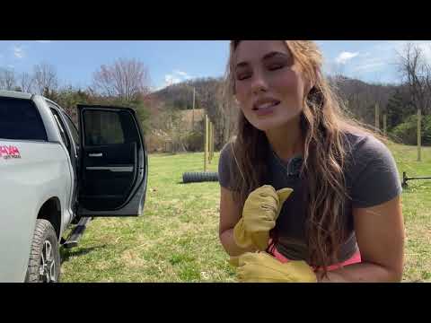 Building a Deer Proof Garden Fence Part 2