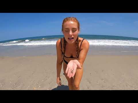 Surf Fishing w SAND FLEAS for bait CRAZY BEACH STORM