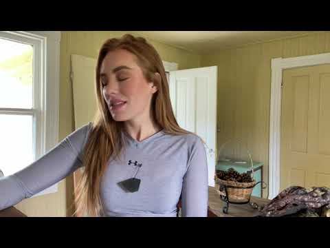 The Final Teaser VA Whitetail Hunt Part 3