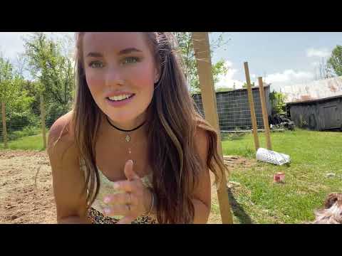 Garden Update Building the Gate Planting Farm Life