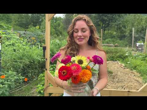 BIG Potato Harvest Garden Tour Update Grow tomatoes peppers
