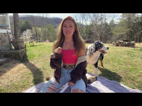 Answering your Burning Questions Life Update