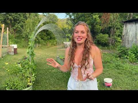 How to NATURALLY Get Rid of Common GARDEN PESTS japanese