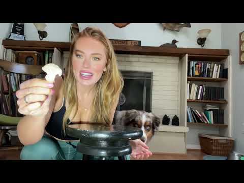 Charlie the Aussie Reviews Food Dog Taste Test