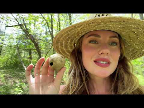7 Easy Wild Edible Plants Mushrooms to Forage Cooking