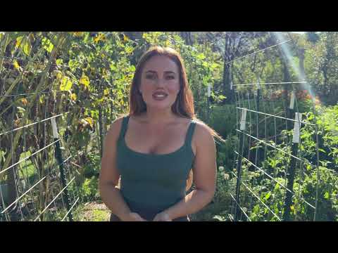 Fall Garden Tour with Heidi Last Harvest of the Season