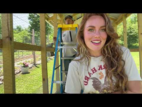 Chicken Coop Final Reveal feat 40 Chicks Food security for