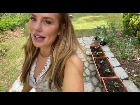 How I Started My CONTAINER GARDEN Easy to Grow Vegetables