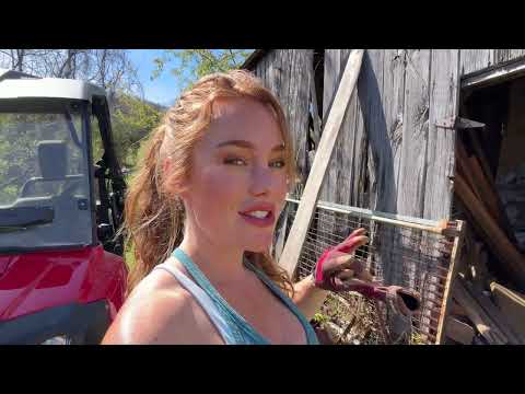 Building Our Dream Chicken Coop Roof A Real Day on the