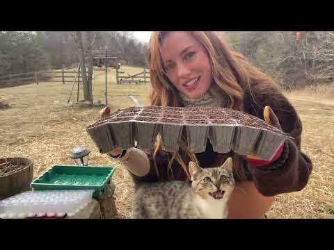 Starting Our Spring Garden Seed Trays Coop Build Farm