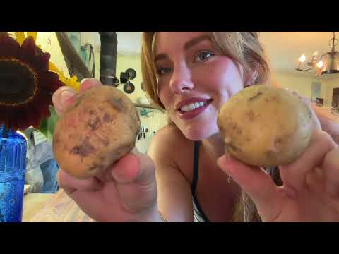 SATISFYING Sustainable Living Full Meal Harvested from Our
