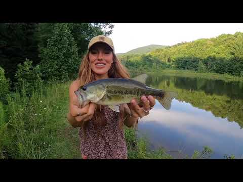 FOUND AN INSANE VIEW AT THE TOP OF A MOUNTAIN catching bass