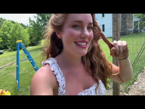 Chicken Coop Build is COMPLETE Decorating ideas DIY rustic