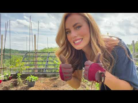 PLANTING A GARDEN IS SO IMPORTANT Growing My Own Food