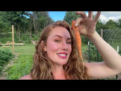 Cooking Juicy Venison Tenderloin Stir Fry Garden Veggies