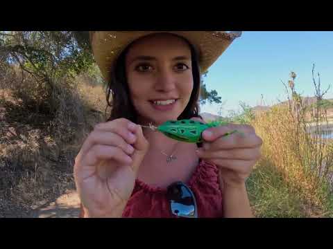 Fishing Topwater Frog HUGE Blow Up