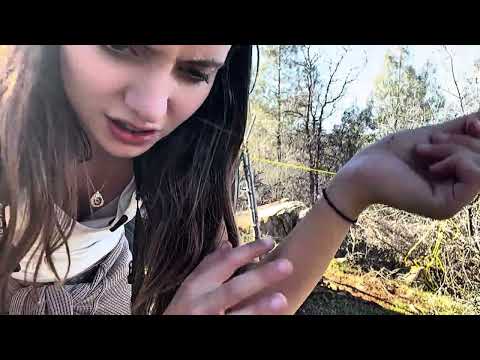 I Failed This Bushcraft Trip Once Here s What Happened When
