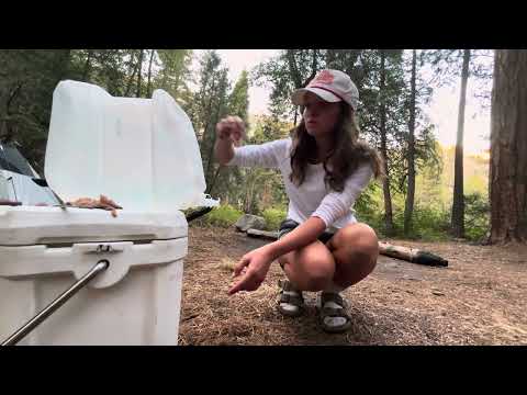 Camping Alone and Cooking Fresh Trout Deep in the Woods