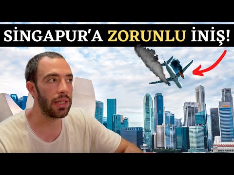 YENİ ZELANDA UÇAĞIM Havada ARIZALANDI BAKIN NE YAPTILAR