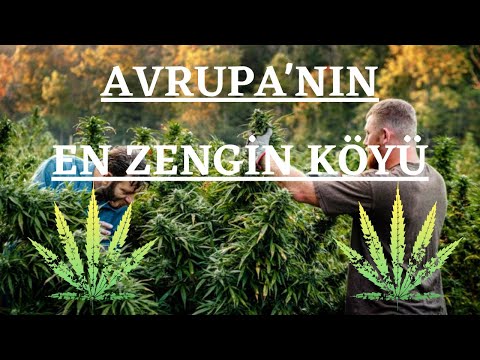 AVRUPANIN UYUŞTURUCU BAŞKENTİ LAZARAT Köyü Arnavutluk