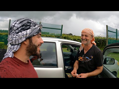 BU İŞİ YAPARAK SAATTE 100 DOLAR Kazanabilirsin YENİ ZELANDA