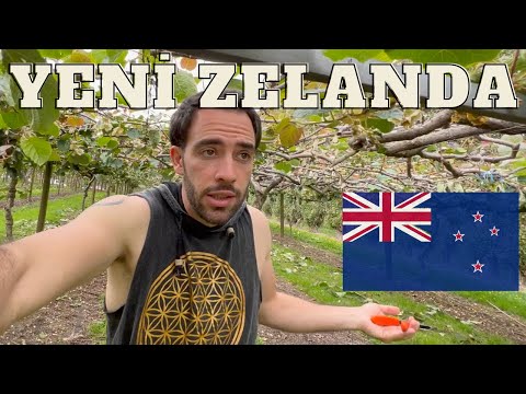 BU ÜLKE DELİ GİBİ İŞÇİ ARIYOR YENİ ZELANDA