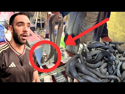 CANLI YILAN PAZARI Sokakta Kesip Yiyorlar