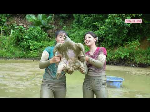 Everyone Stopped to Watch Tons of Catfish a Giant Turtle on